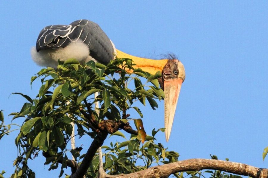 xr:d:DAGBkFzTNBs:3,j:6967492557849856660,t:24040516