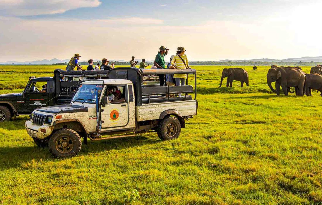 Habarana-sri lanka