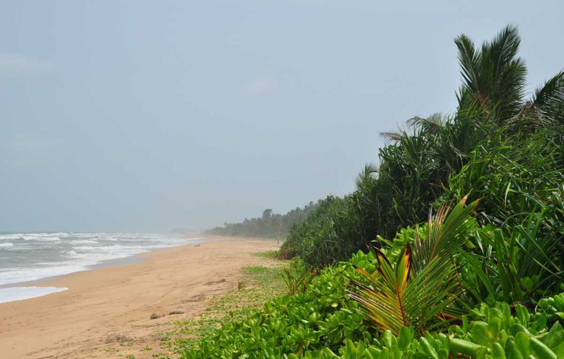 SriLankaBeruwala beach