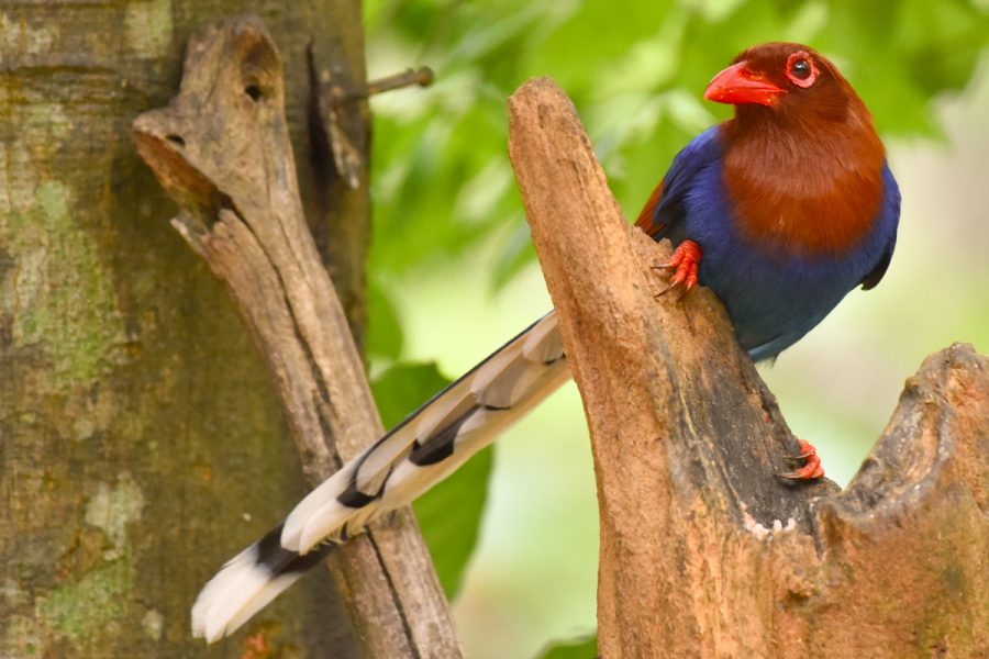 bd34d204063d924bbf32ca29e9fb0d62