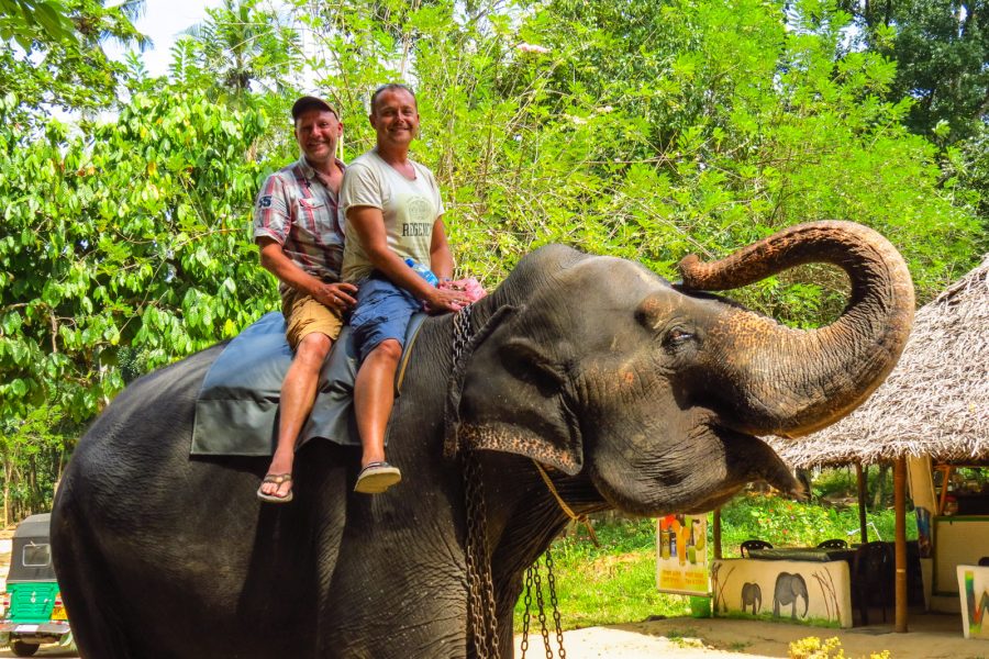 elephant-riding-srilanka