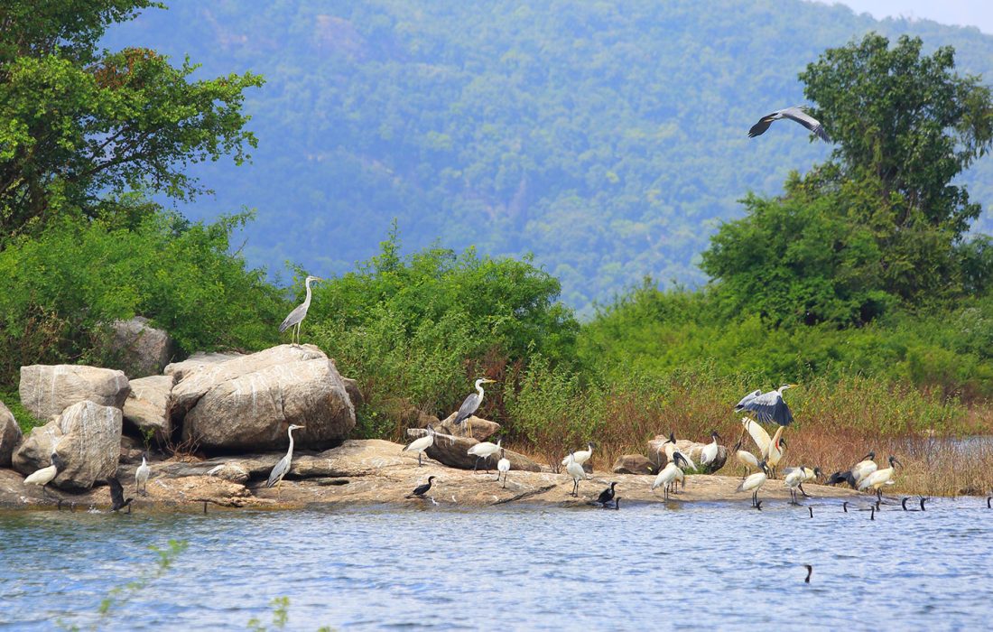 gal oya park