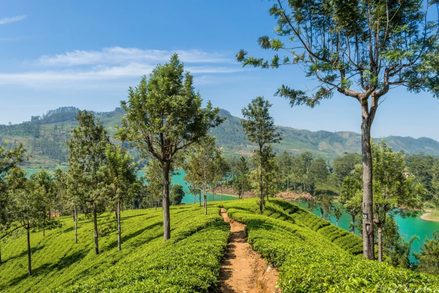 hatton sri lanka