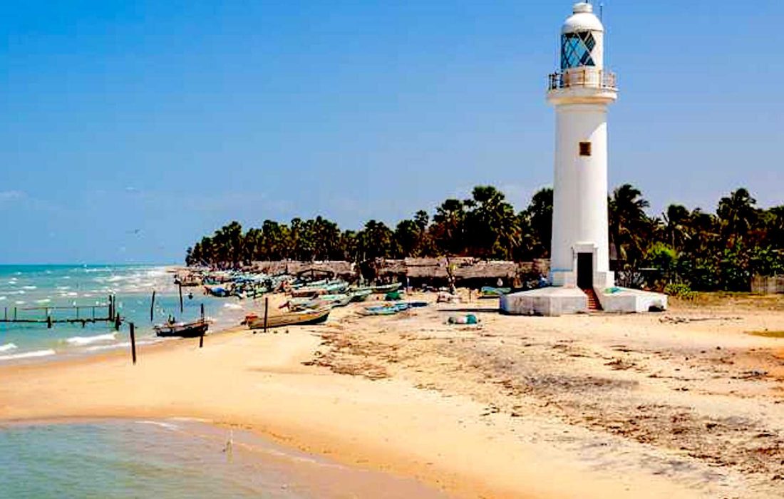 mannar (1)