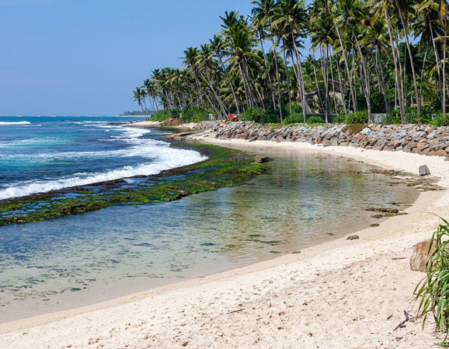 Coral reef in the Indian Ocean. Surf spot. Polhena. Sri Lanka. Vacation time. Sport time