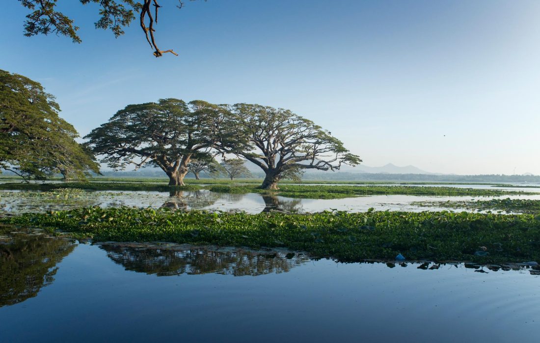 sri-lanka-tissamaharama-haputhale_cover