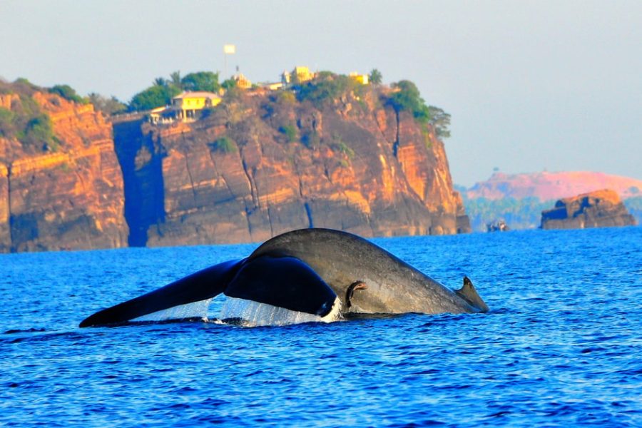 trinco sri lanka